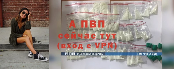 молекула духа Арсеньев