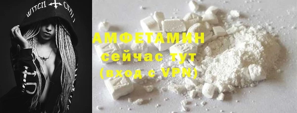 молекула духа Арсеньев