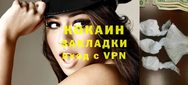 молекула духа Арсеньев